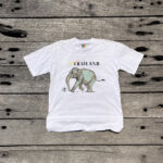 Vintage 90s Amazing Thailand elephant football