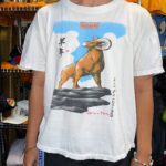 Vintage 2003 Year of the ram Chinatown San Francisco t shirt XL